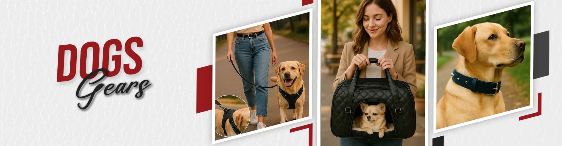 Dog Gears